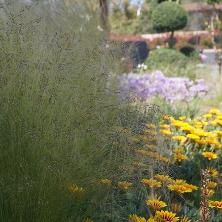 Les Jardins De Santa Giulia - Charmante Chambre D'Hote Porto-Vecchio  Eksteriør billede